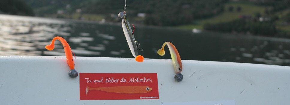 Angeln in Norwegen - Gummifischangeln | Angelzeile.com