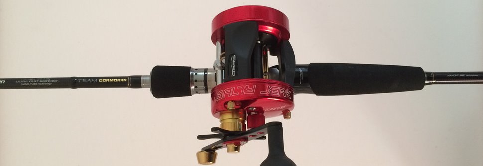 Test der Baitcaster