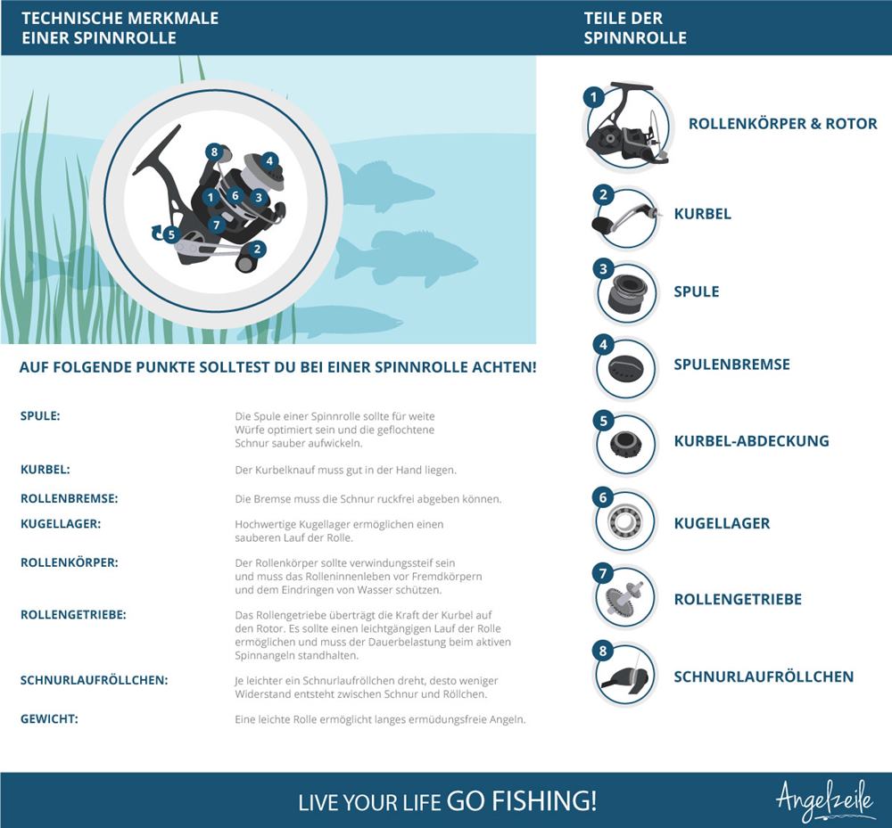 Infografik Spinnrolle - Daten & Tipps zur Spinnrolle