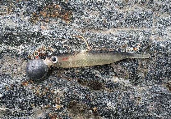 Gummifisch Norwegen Behr Trendex Dropshot Minnow